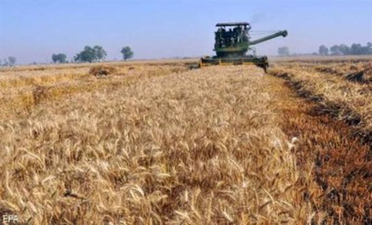 Россияне согласились с тем, что не могут заместить Украину на рынке зерна