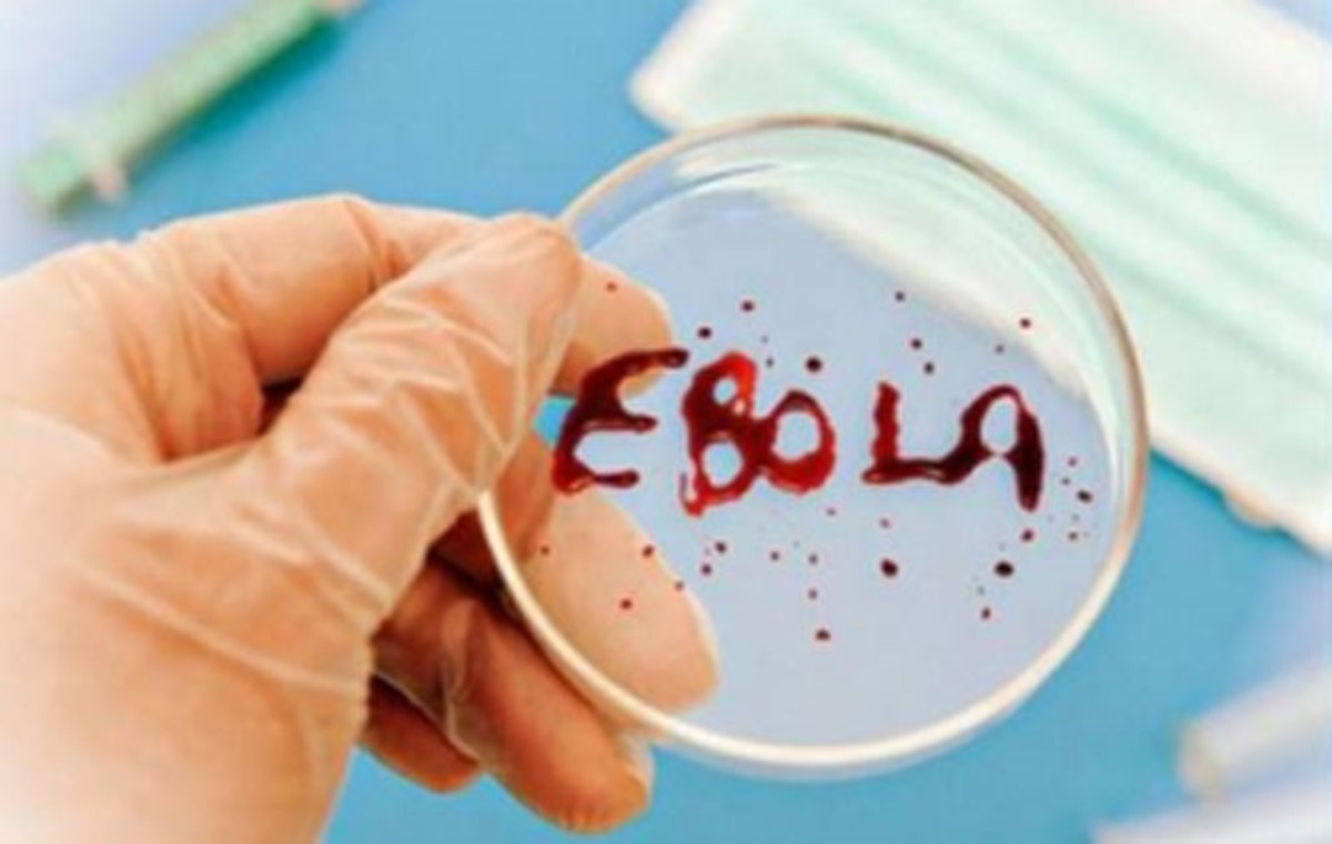 Минздрав проинформировал о вероятности появления Эболы в Украине