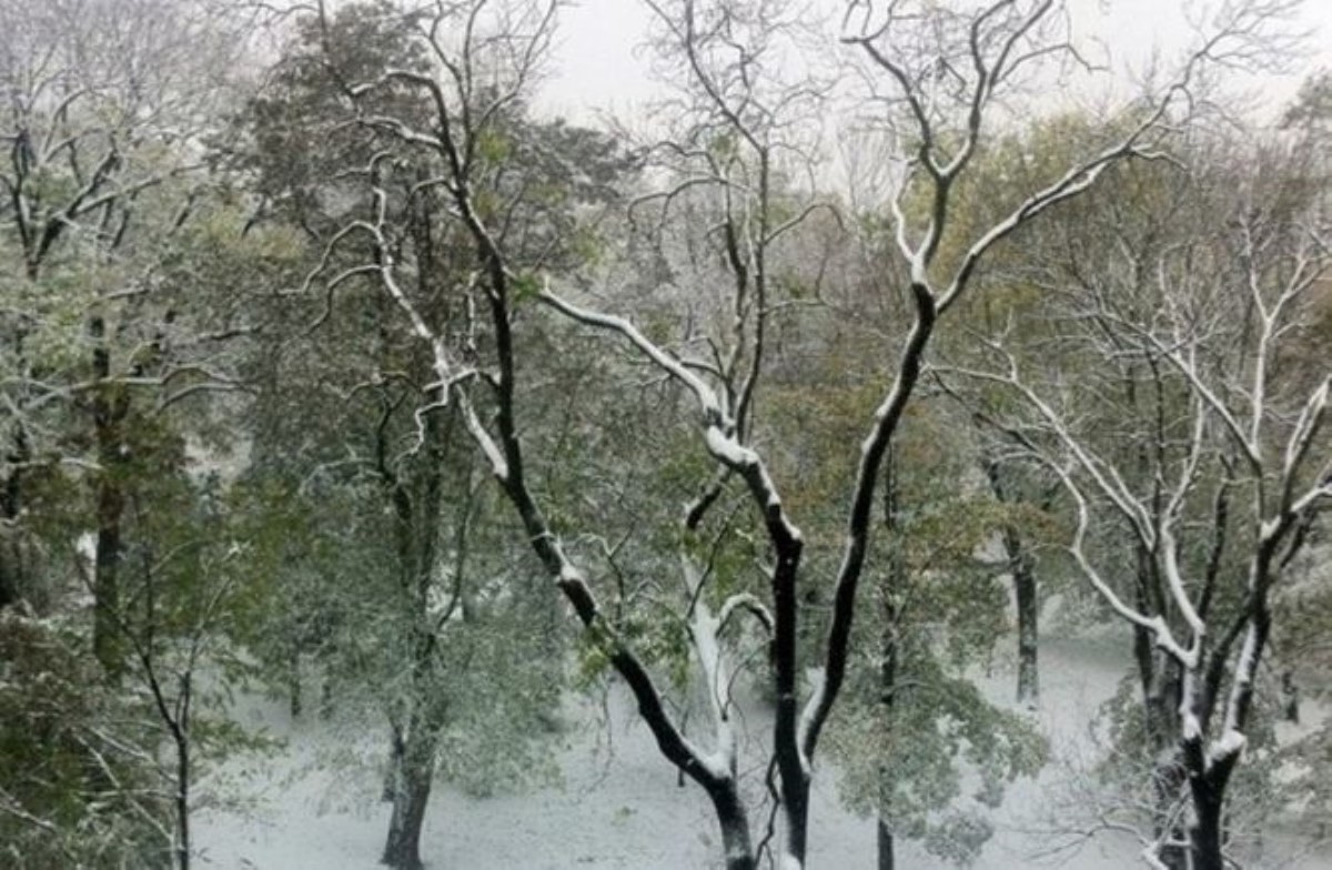 На Западной Украине выпал первый снег