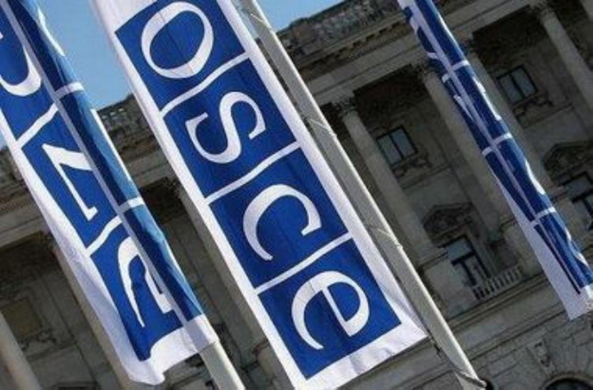 В ОБСЕ признали выборы в Украине демократичными