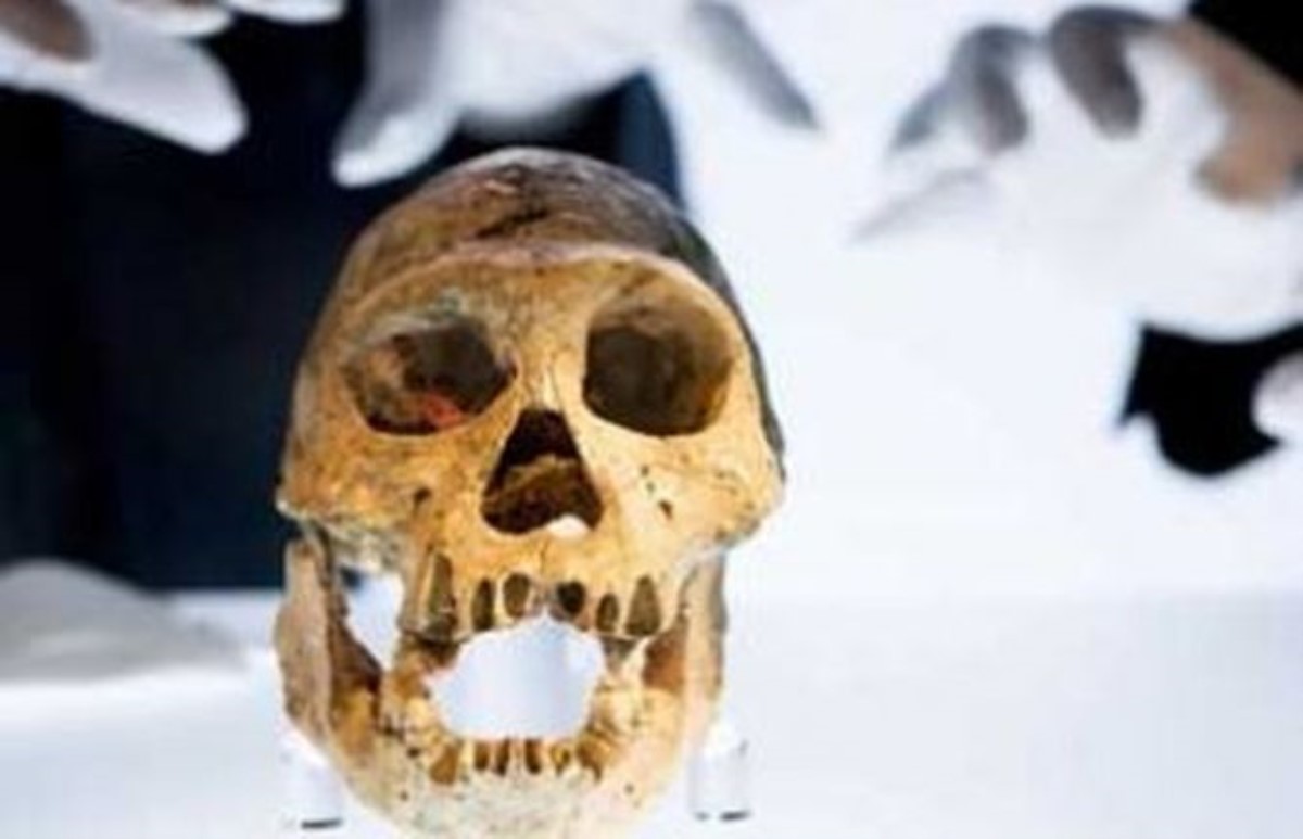 Восстановлен геном европейца, жившего 36 тысяч лет назад