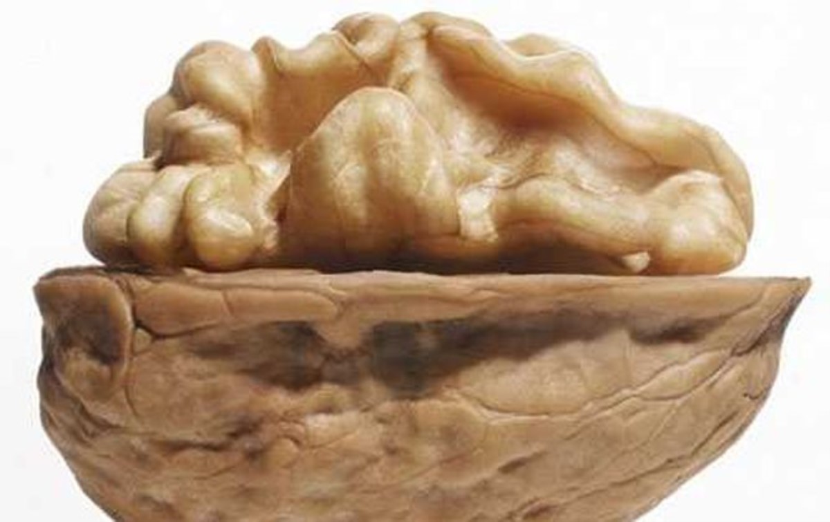 Грецкие орехи способны защитить организм от рака