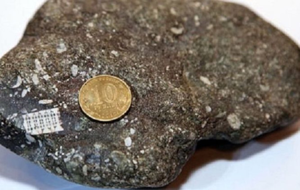 Находка века: обнаружен камень с микрочипом