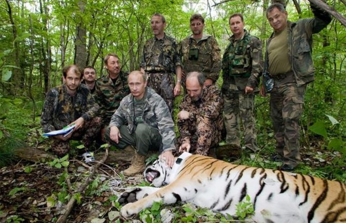 Тигр Путина обижает китайских крестьян