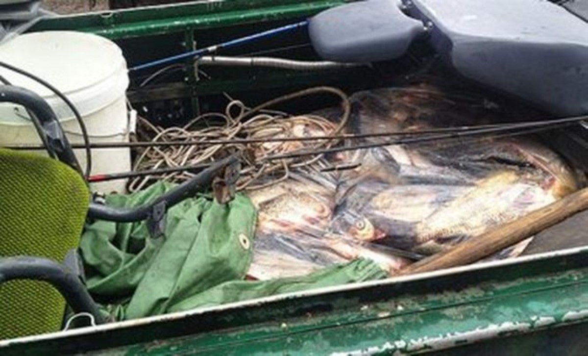Керченские рыбаки угрожают голодными бунтами