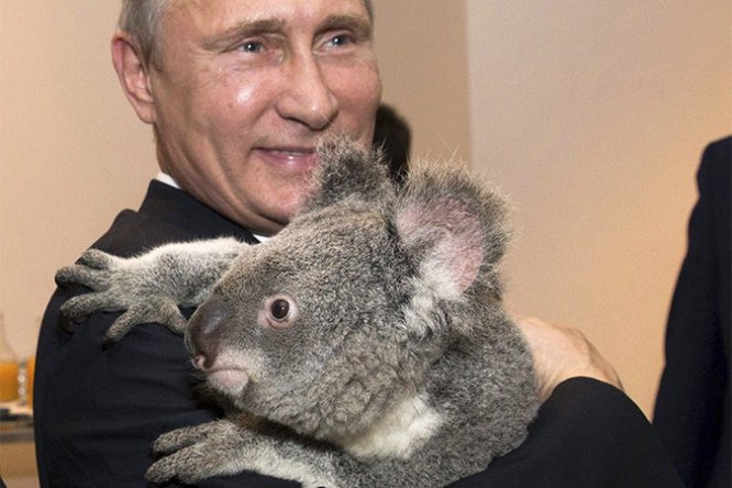 La Stampa: Путин и дипломатия коалы