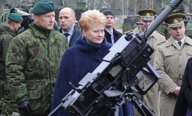 Литва пообещала предоставить Украине военную поддержку