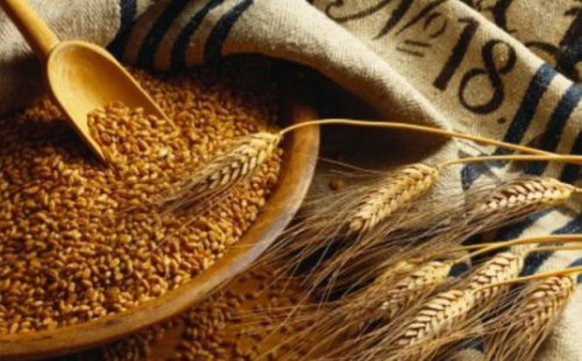 В Китае заинтересовались украинским зерном