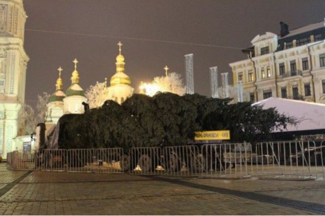 В Киев прибыла 24-метровая елка из Карпат