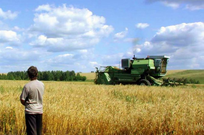 Украине предсказали низкий урожай в этом году