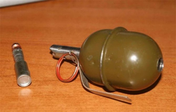 На свалке в Киеве нашли пакет с гранатами