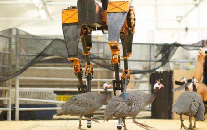 Разработчики создали самого быстрого в мире двуногого робота