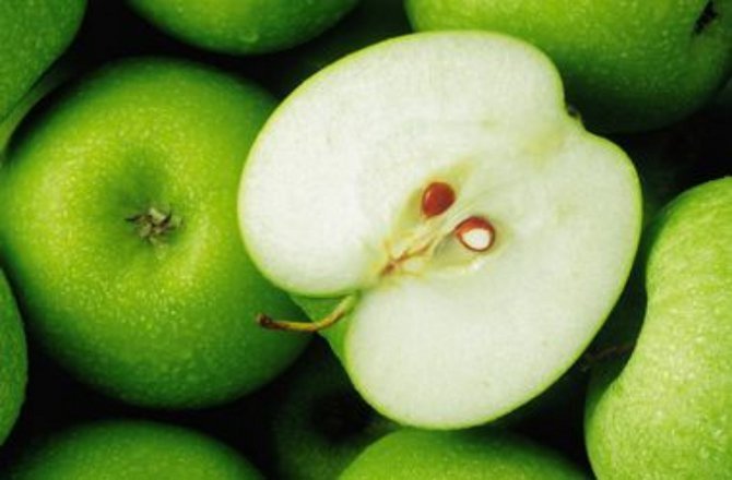 Ученые развеяли миф о пользе яблок