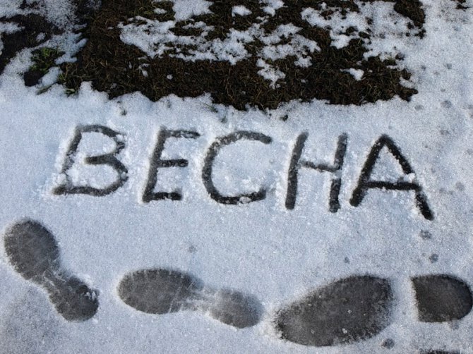 Завтра Украину ожидают дожди и мокрый снег
