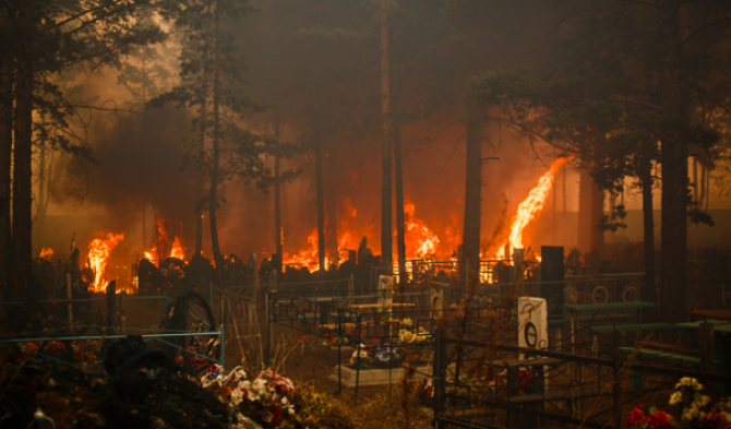 В Забайкалье насчитали почти сотню лесных пожаров