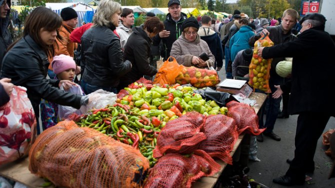 На выходных в Киеве пройдут сельскохозяйственные ярмарки