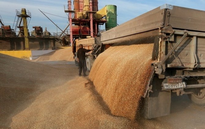 В ЕС ожидается рекордный урожай пшеницы в этом году