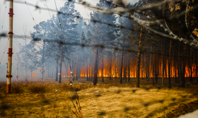В Забайкалье горят более 100 тысяч гектаров леса