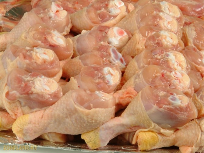 В Украину пытались ввезти более 500 тонн мяса, зараженного сальмонеллезом