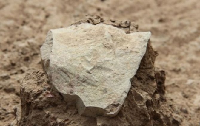 В Африке найдены древнейшие орудия труда возрастом в 3,3 миллиона лет
