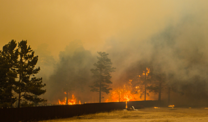 В Сибири охвачено пожарами более 40 гектаров леса