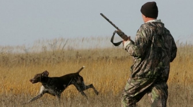 В Украине подняли штрафы за браконьерство