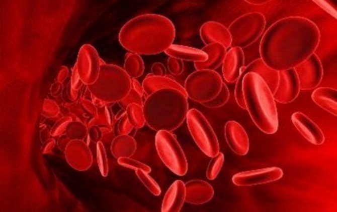 Ученые создали искусственные эритроциты, которые смогут заменять донорскую кровь