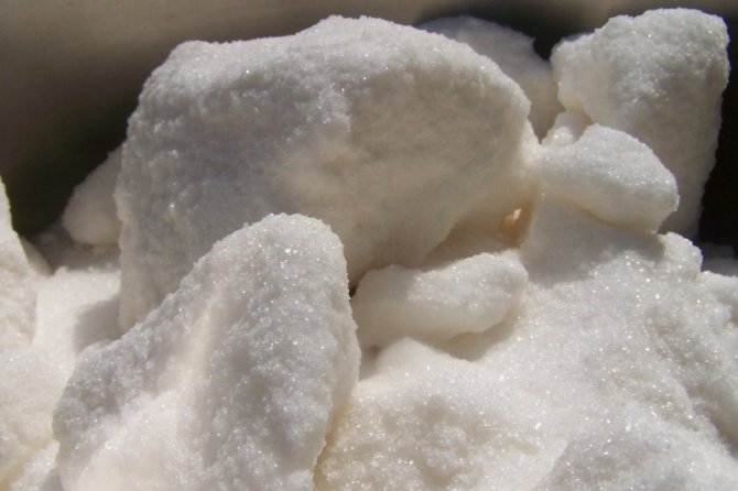 Украина полностью обеспечит себя сахаром в текущем году - министр