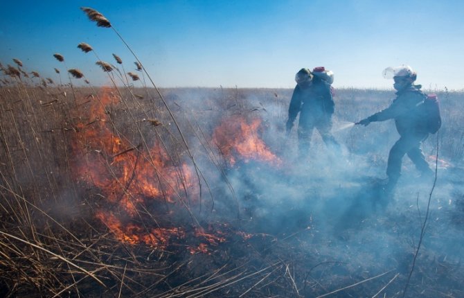 В Забайкалье за выходные в шесть раз возросло количество лесных пожаров