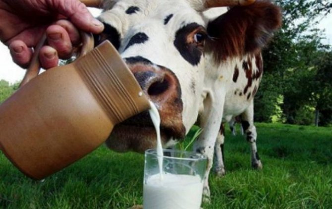 Украина сокращает производство мяса и молока