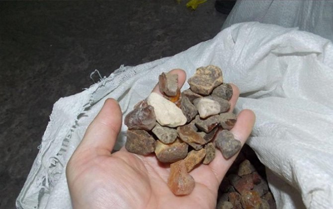 В Ровненской области обнаружили и изъяли почти тонну янтаря