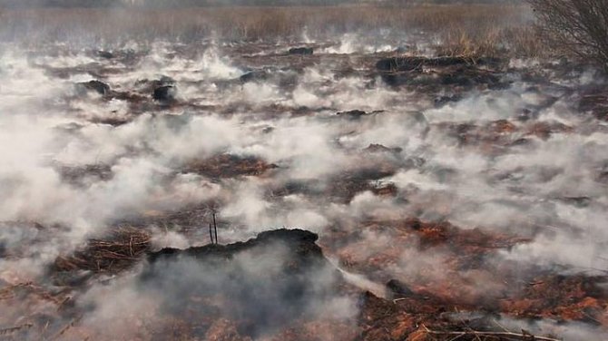В Волынской области горят торфяники