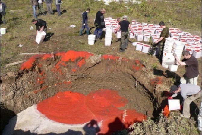 В России уничтожили почти 4,5 тонн свежей красной икры