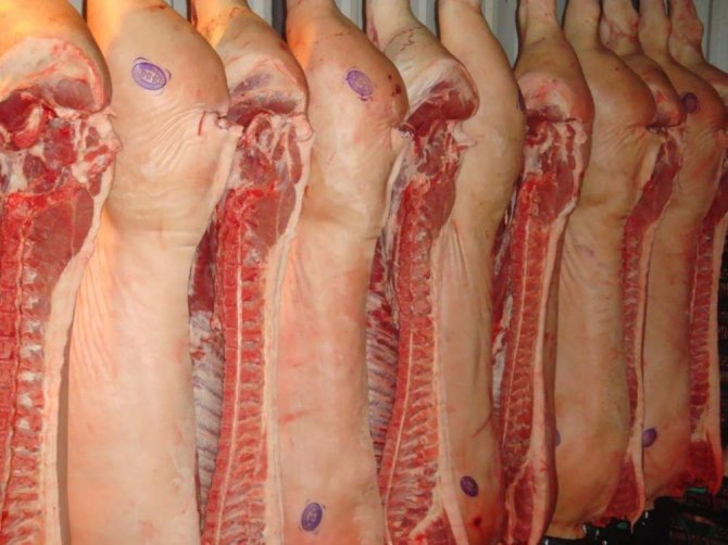 Украина продолжает импортировать свинину