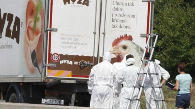 В Австрии в брошенном грузовике обнаружили более 70 трупов