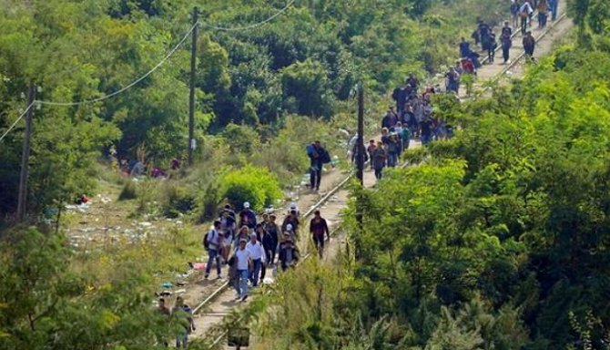 В Венгрию за день прибыло рекордное число мигрантов