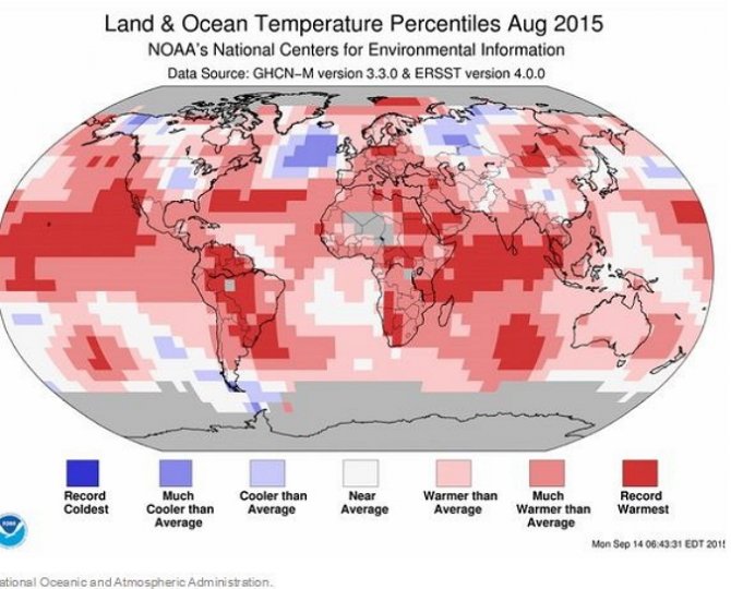Август признан самым жарким месяцем за 136 лет