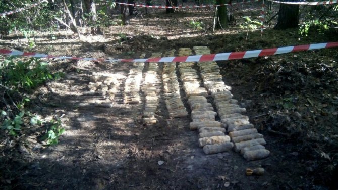 Под Киевом обнаружено более 1000 снарядов