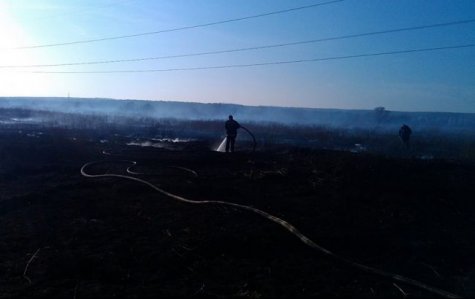 В Киевской области продолжают гореть 45 га торфяников