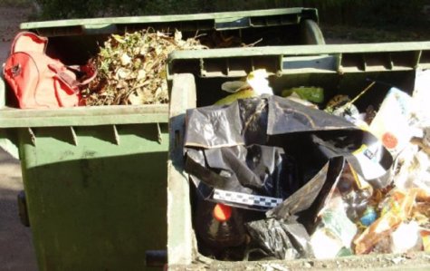 В Одессе в мусорных баках обнаружили автомат Калашникова и боеприпасы