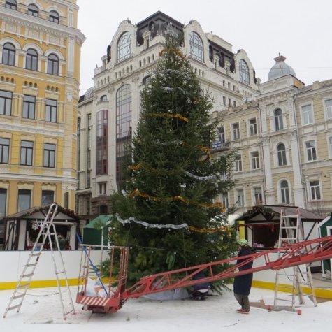 В Киеве появилась первая новогодняя елка