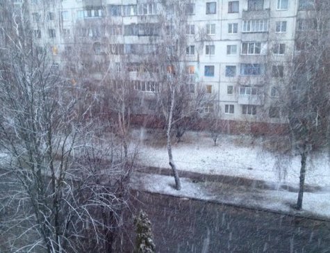 На севере Украины выпал первый снег