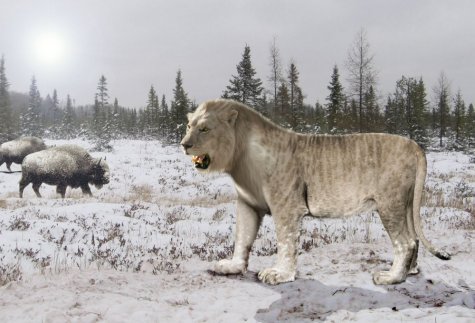 В Якутии собираются клонировать пещерных львов