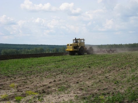 Сельскохозяйственный товарооборот между Украиной и РФ за год упал почти на 70%