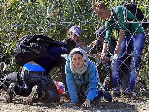 С начала года границы ЕС нелегально пересекли 1,28 миллиона человек