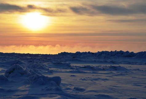 В Арктике температура достигла самых высоких показателей за последние 115 лет