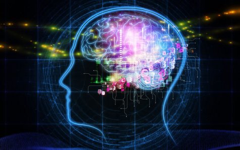 Ученые выяснили, как человеческий мозг работает с информацией