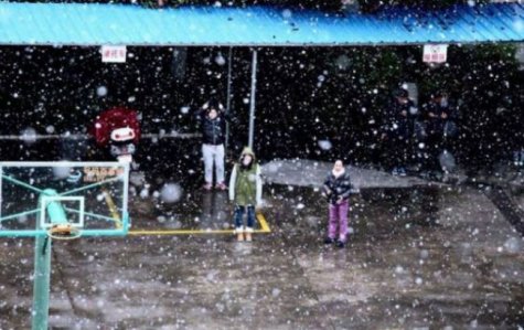На Тайване аномальное похолодание привело к гибели более 50 человек