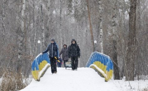 Синоптики предсказали обильный снегопад в Киеве
