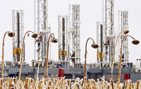 В США прогнозируют снижение добычи сланцевой нефти